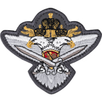 Патч "Двуглавый орел", малый, светлый, 7.5 x 6.4 см