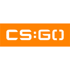 Трафарет для покраски магазинов "CS:GO" (Airsoft Store)