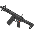 Модель автомата (G&G) ARP 556 2.0 (Black)