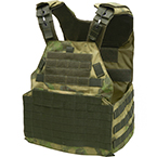 Плитоносец тяжелый "Форс" (BASTION) (Мох)